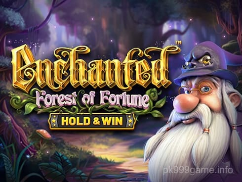 Enchanted Forest of Fortune - Hold and Win